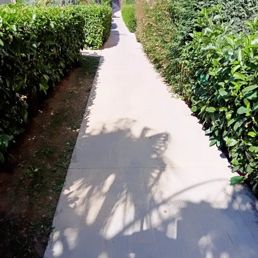 site içi uygulama 10